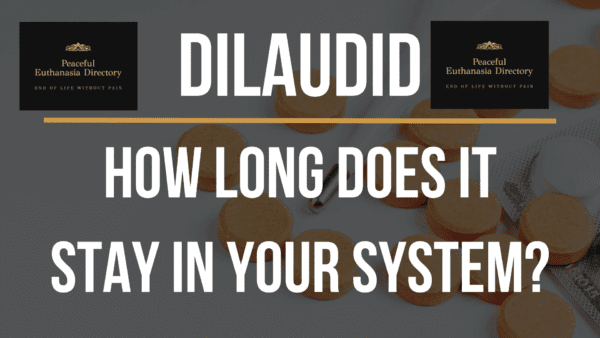 Buy Dilaudid for sale